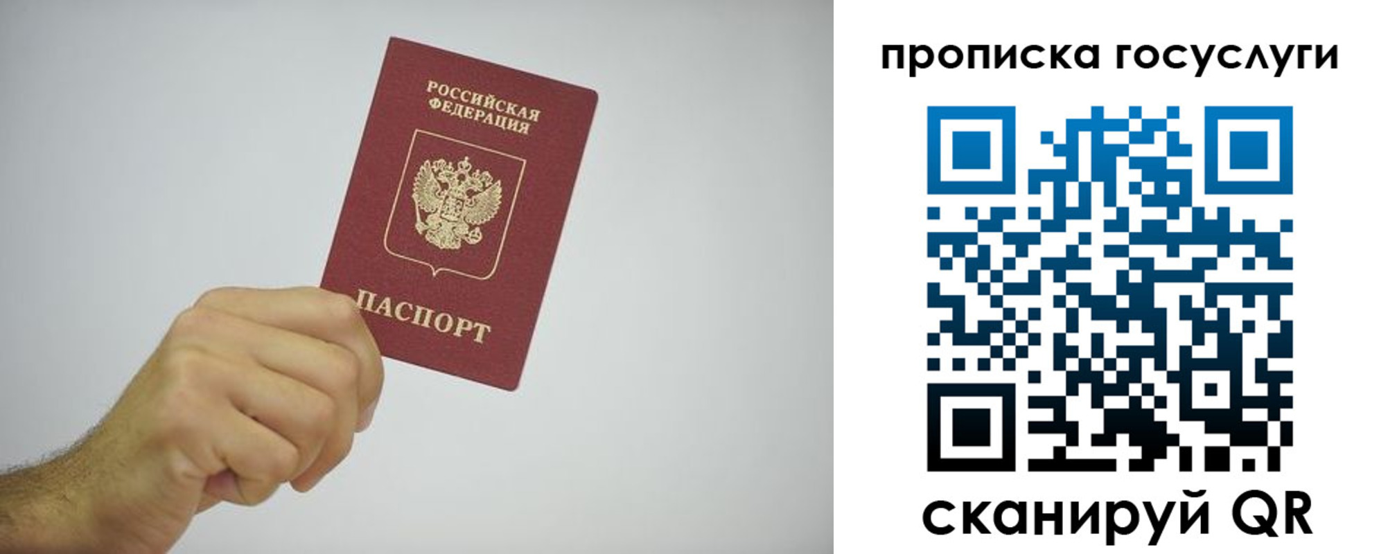 прописка законно в Лузе